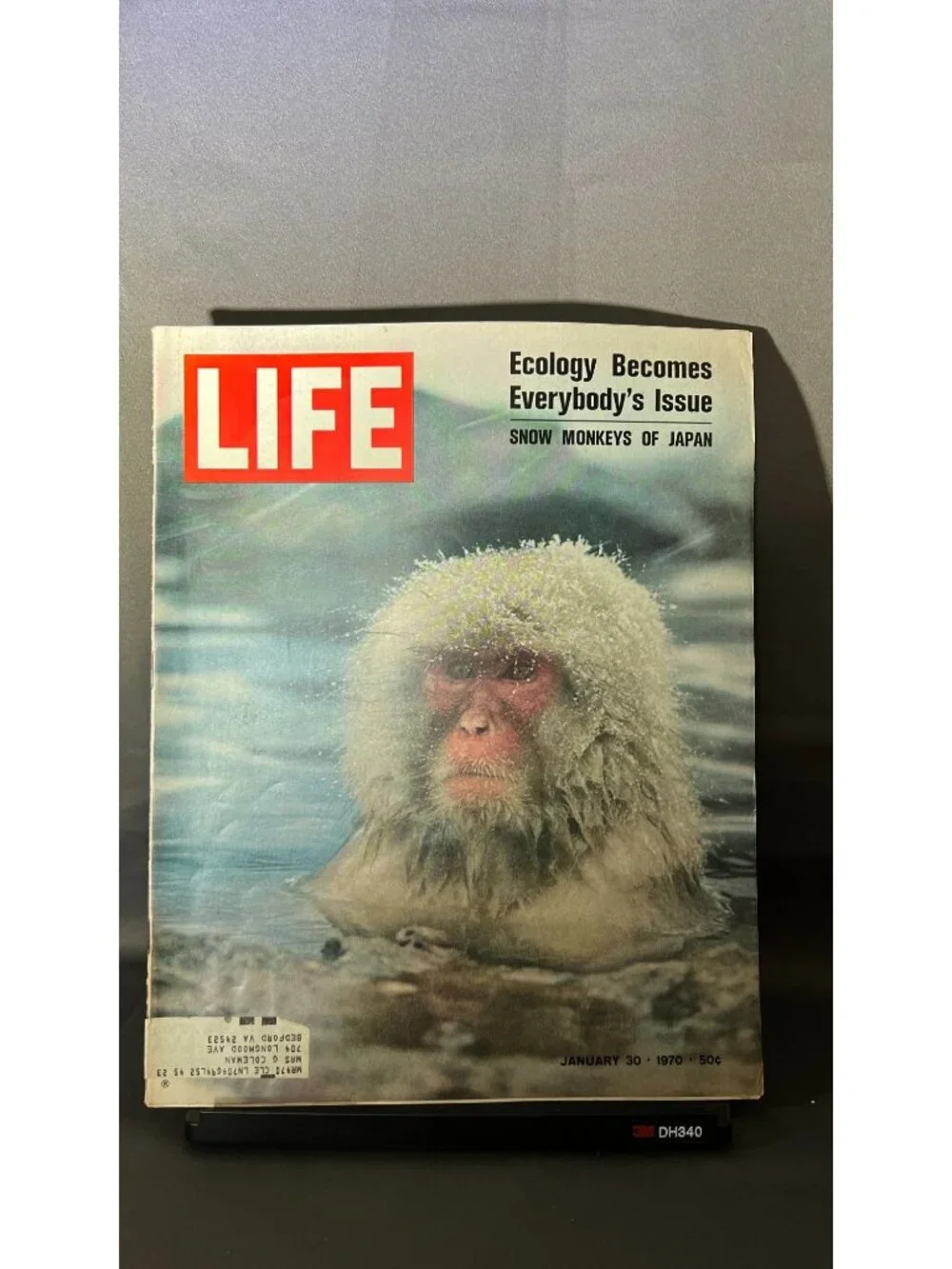 Life Magazine January 30 1970 Snow Monkeys Of Japan Issue